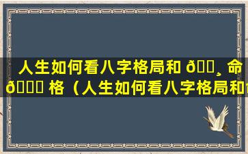 人生如何看八字格局和 🕸 命 🐟 格（人生如何看八字格局和命格好坏）